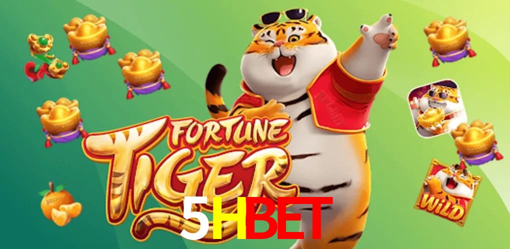 Experiência VIP 5HBET